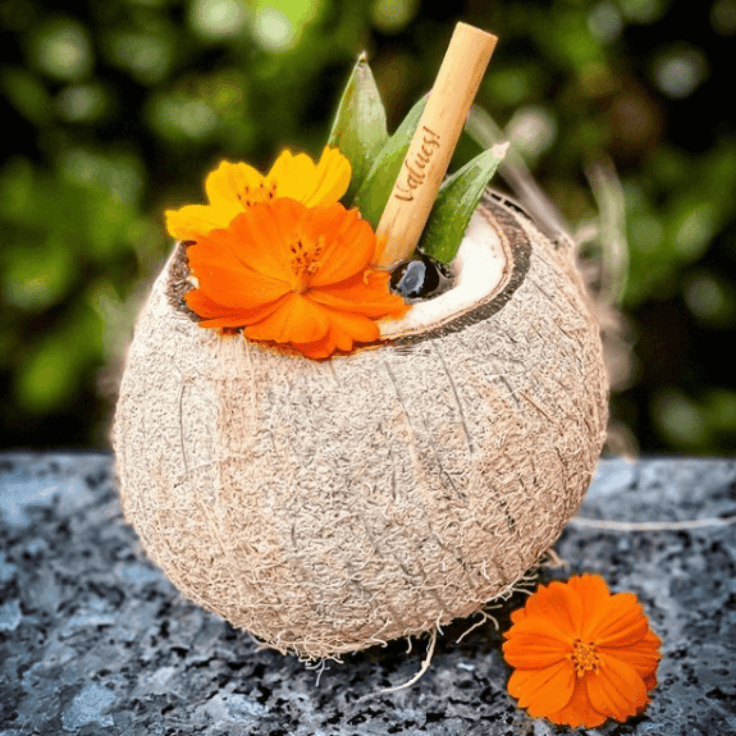 Pailles Réutilisables en Roseau Holy City Straw Cocktail | Lot de 3
