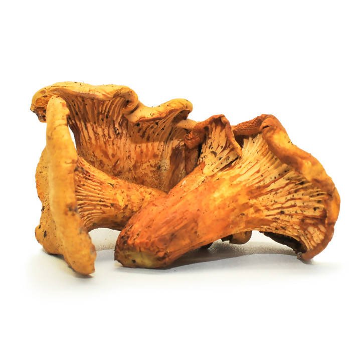 THEMUSHHUB CO. - Dried Wild Mushrooms Assortment - Dried Wild Mushrooms - Farm2Me - -