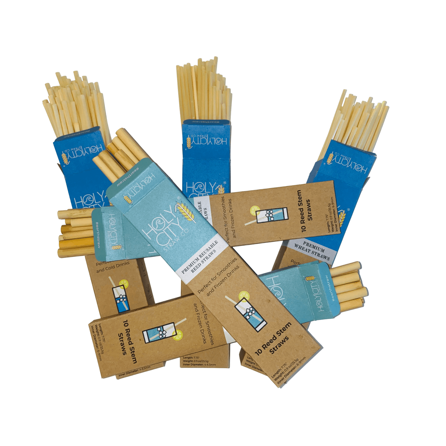 Lot de 6 pailles en blé et en roseau Holy City
