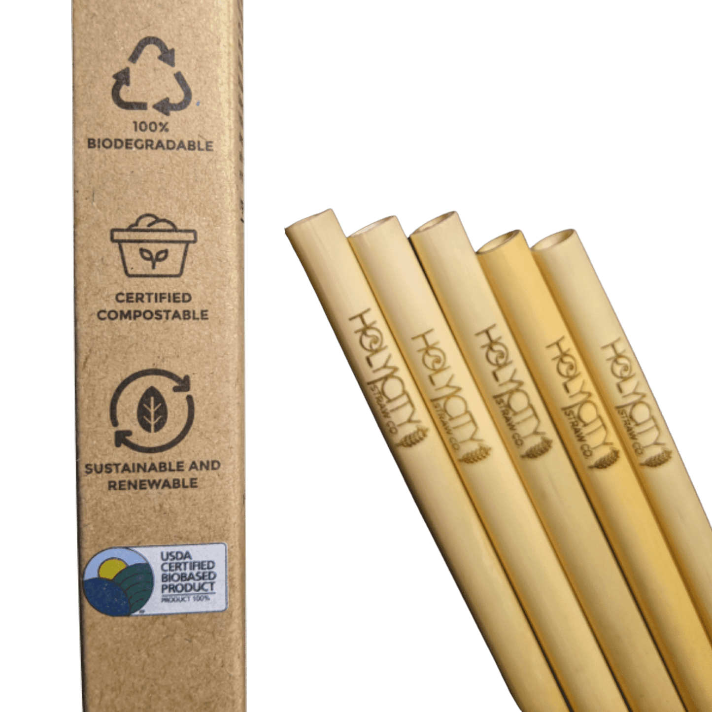 Pailles en roseau réutilisables Holy City Straw Tall Premium – Boîte de 5 unités