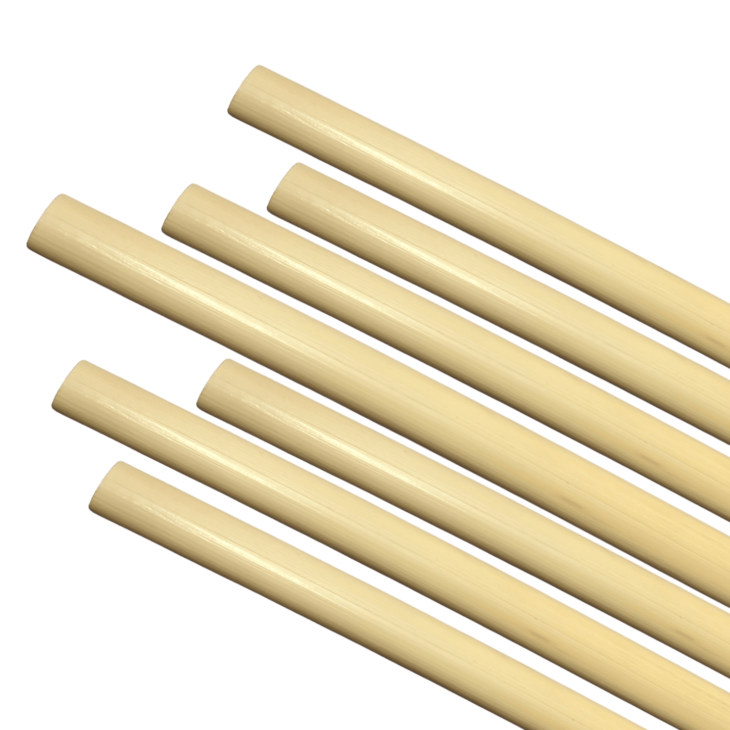 Paille en roseau réutilisable Holy City Straw gravée au laser