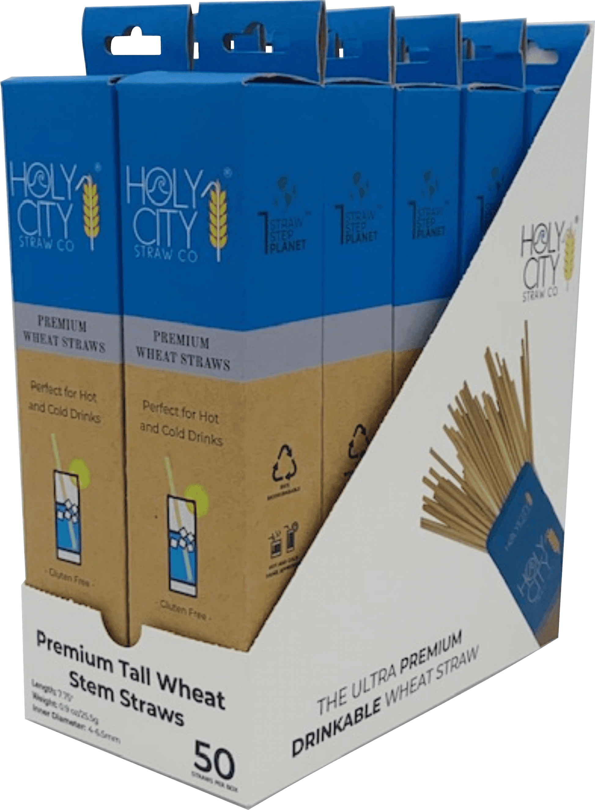 Holy City Straw Company Wheat Inner Pack of 10 50 ct Tall Wheat Straws - Angled Left