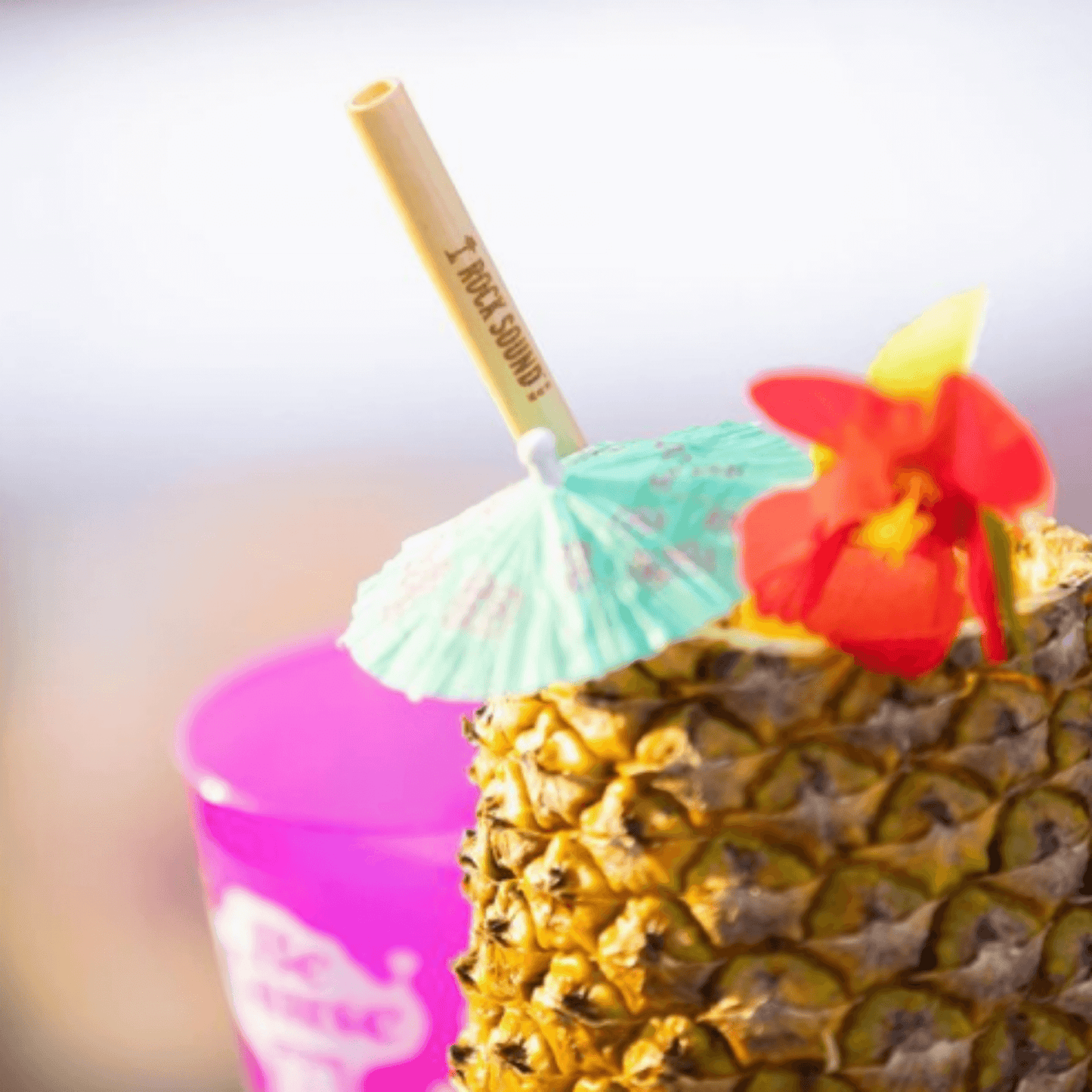 Paille en roseau réutilisable Holy City Straw gravée au laser