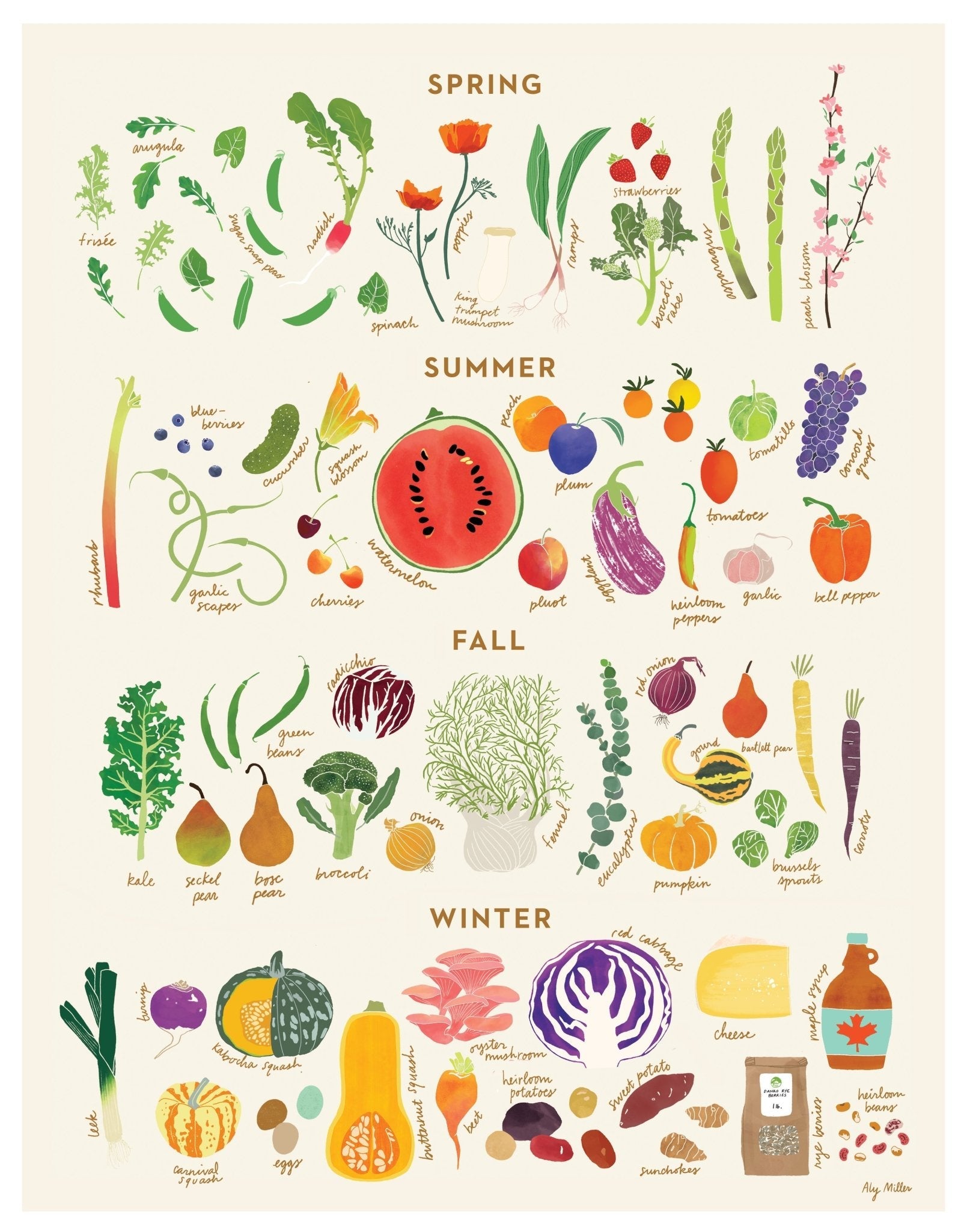 Farm2Me - Retailer Supplies - ALY MILLER DESIGNS - Seasonal Guide to Local Produce 8x10" - 1 x 50 pieces - Seasonal Guide to Local Produce 8x10" - 1 x 50 pieces - AP63290P174569