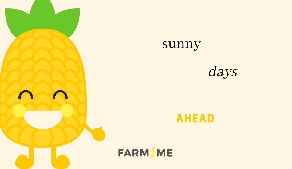 Farm2Me - Gift Cards - Farm2Me - Holiday E-Gift Card - Holiday E-Gift Card -