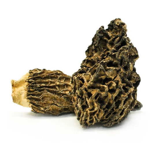 THEMUSHHUB CO. - Dried Wild Mushrooms Assortment - Dried Wild Mushrooms - Farm2Me - -