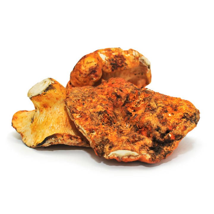 THEMUSHHUB CO. - Dried Wild Mushrooms Assortment - Dried Wild Mushrooms - Farm2Me - -
